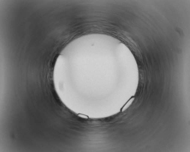 X0000116020419200912312156