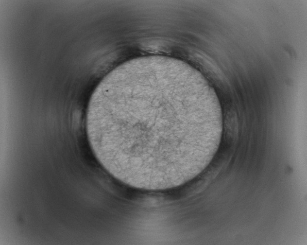 X0000116020420200912312156