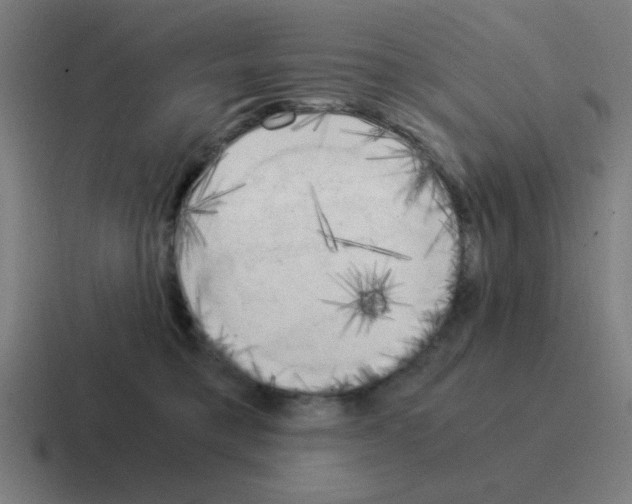 X0000116020421200912312156