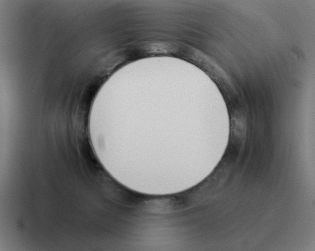 X0000116020422200912312156