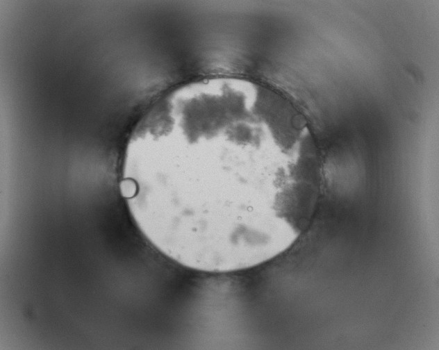 X0000116020423200912312156