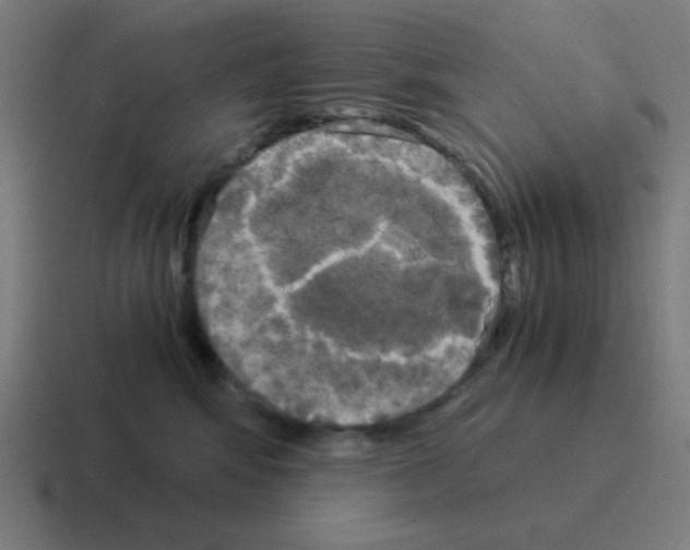 X0000116020424200912312156