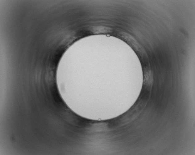 X0000116020426200912312156