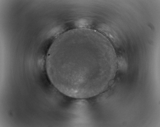 X0000116020427200912312156