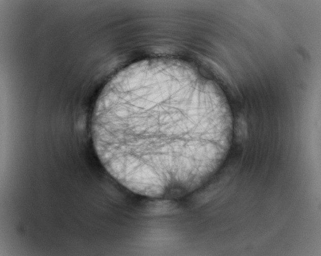 X0000116020428200912312156