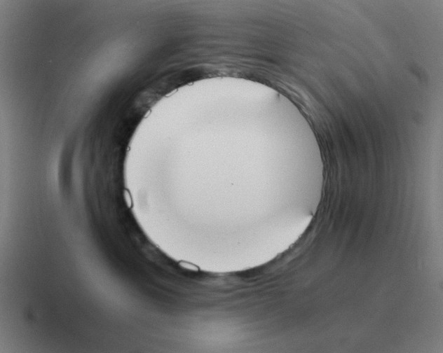 X0000116020429200912312156