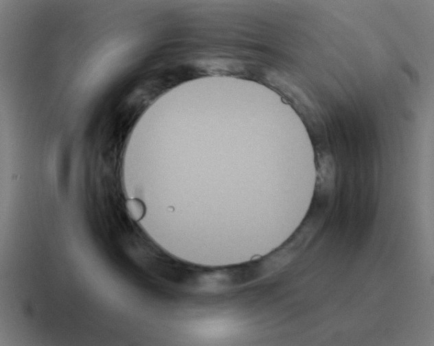 X0000116020430200912312156