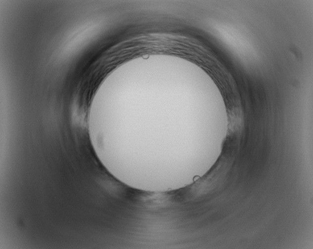 X0000116020431200912312156