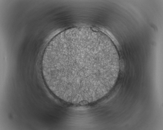 X0000116020433200912312156