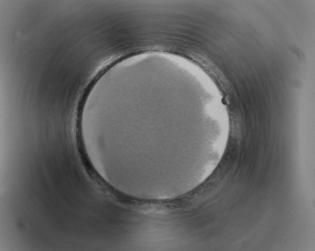 X0000116020434200912312156