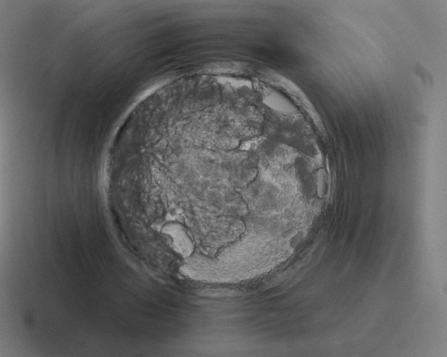 X0000116020435200912312156