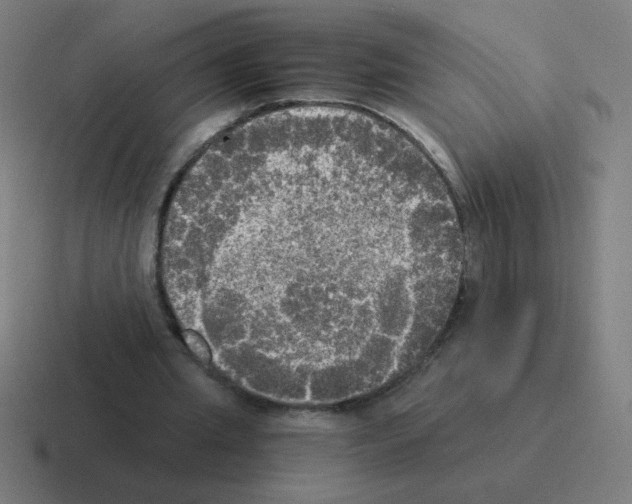 X0000116020437200912312156