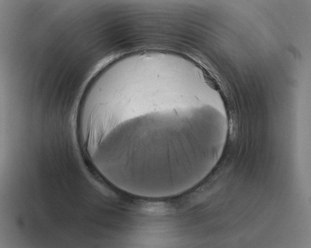 X0000116020438200912312156