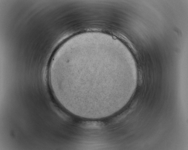 X0000116020439200912312156