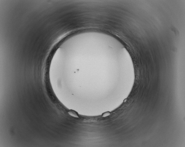 X0000116020440200912312156