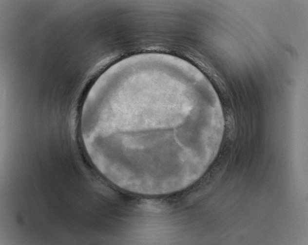 X0000116020442200912312156