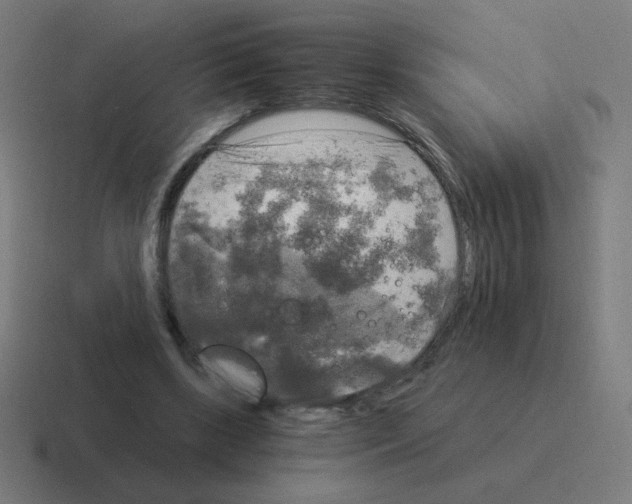 X0000116020443200912312156