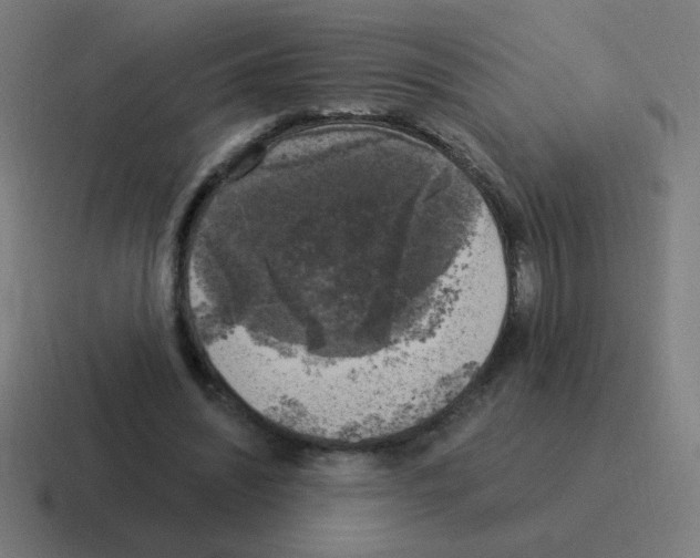 X0000116020444200912312156