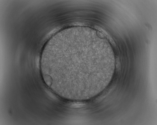 X0000116020445200912312156