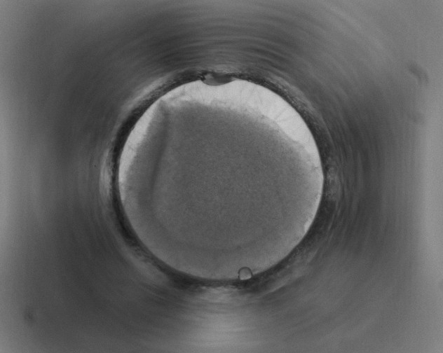 X0000116020446200912312156