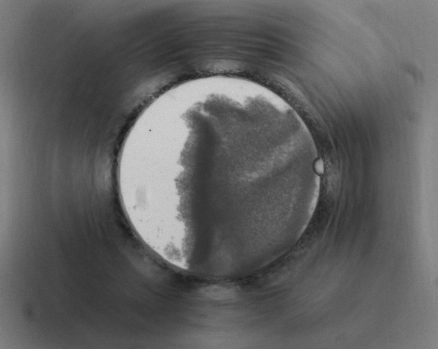 X0000116020447200912312156