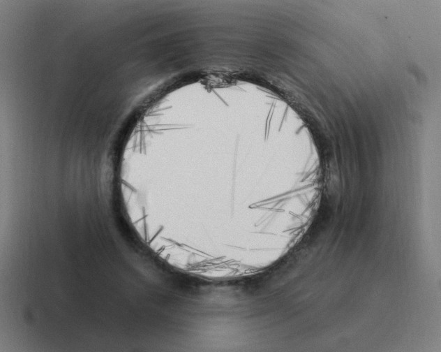 X0000116020448200912312156