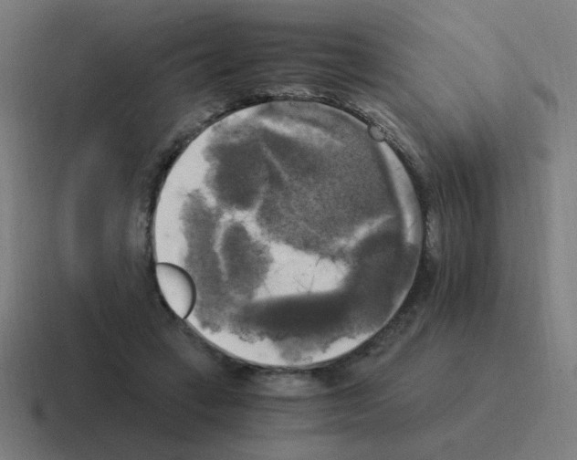 X0000116020449200912312156