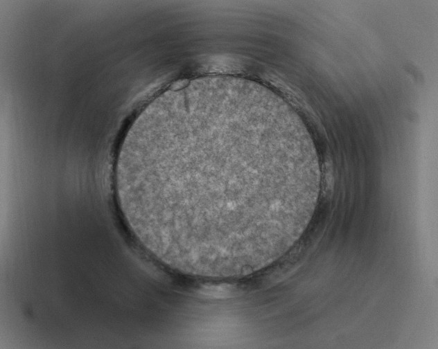 X0000116020450200912312156