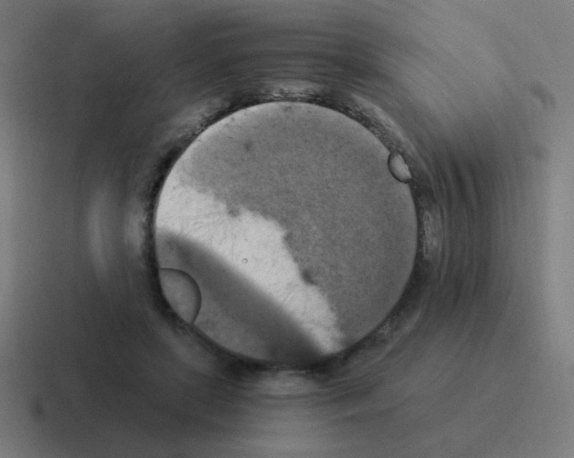 X0000116020451200912312156