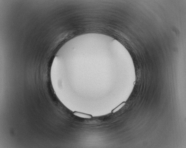 X0000116020452200912312156