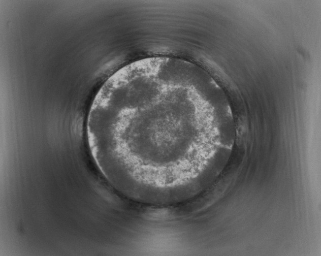 X0000116020454200912312156