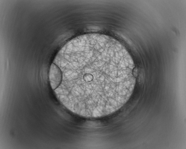 X0000116020455200912312156