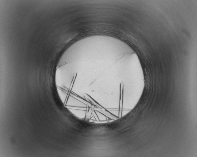 X0000116020456200912312156