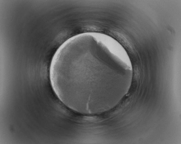 X0000116020457200912312156