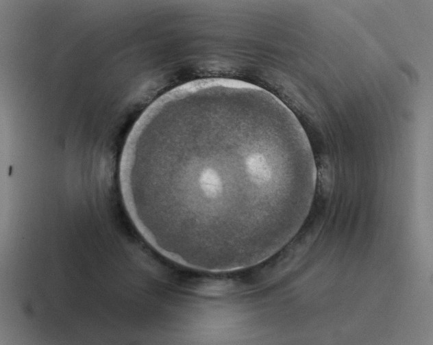 X0000116020458200912312156