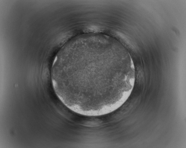 X0000116020459200912312156