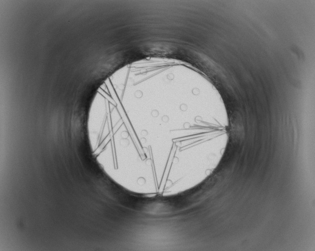 X0000116020460200912312156