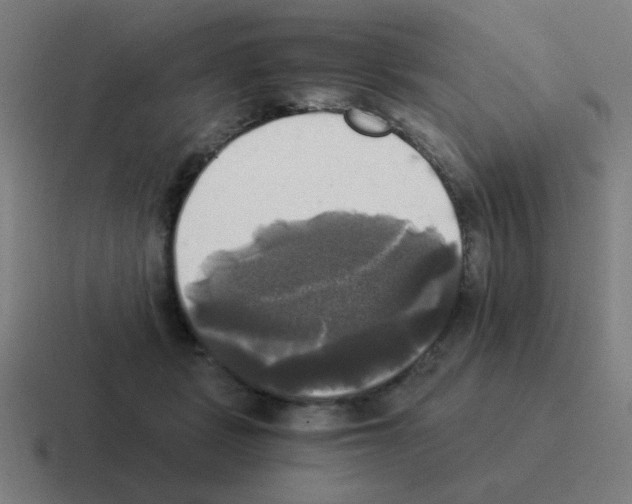 X0000116020461200912312156