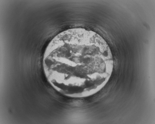 X0000116020462200912312156