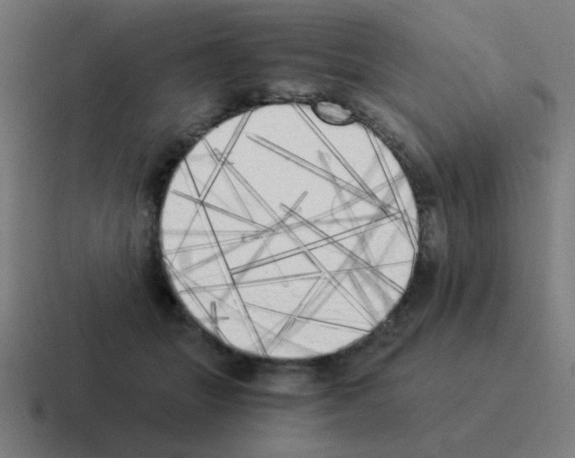 X0000116020463200912312156