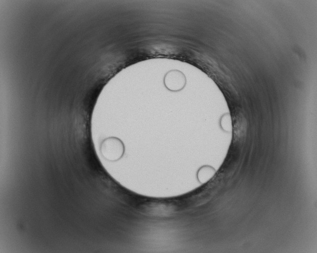 X0000116020464200912312156