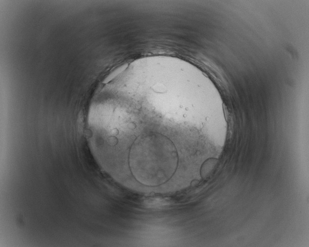 X0000116020465200912312156