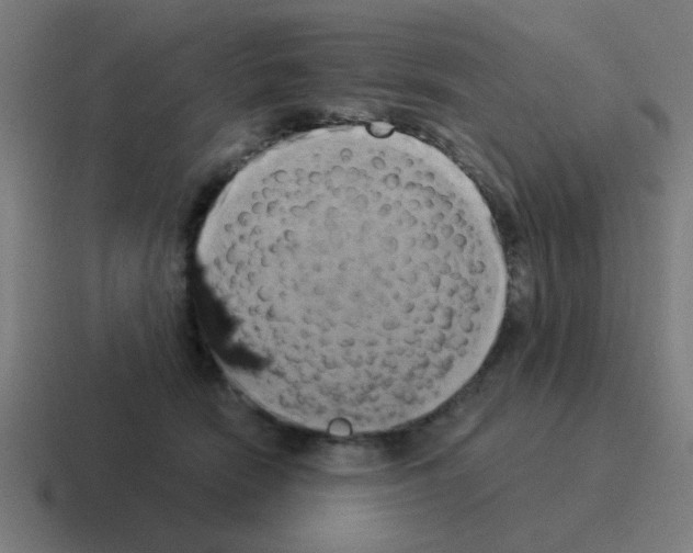 X0000116020466200912312156