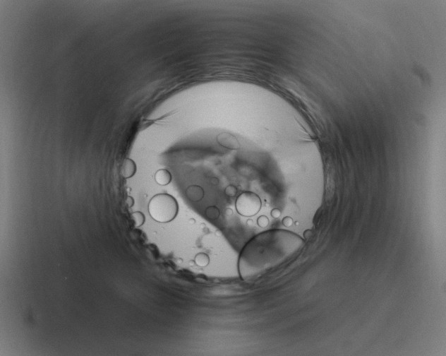 X0000116020467200912312156