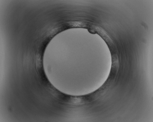 X0000116020469200912312156