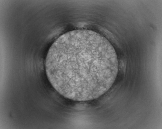 X0000116020470200912312156