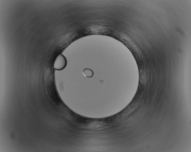 X0000116020471200912312156