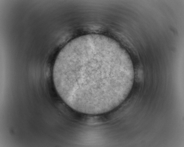 X0000116020472200912312156