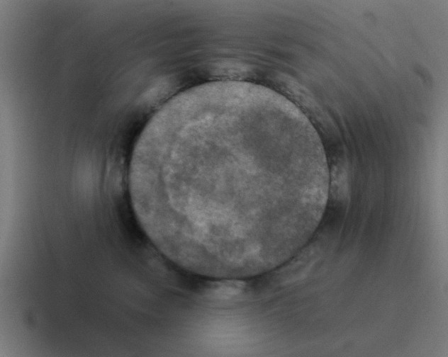 X0000116020474200912312156