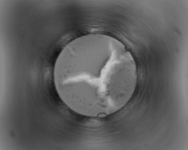 X0000116020475200912312156